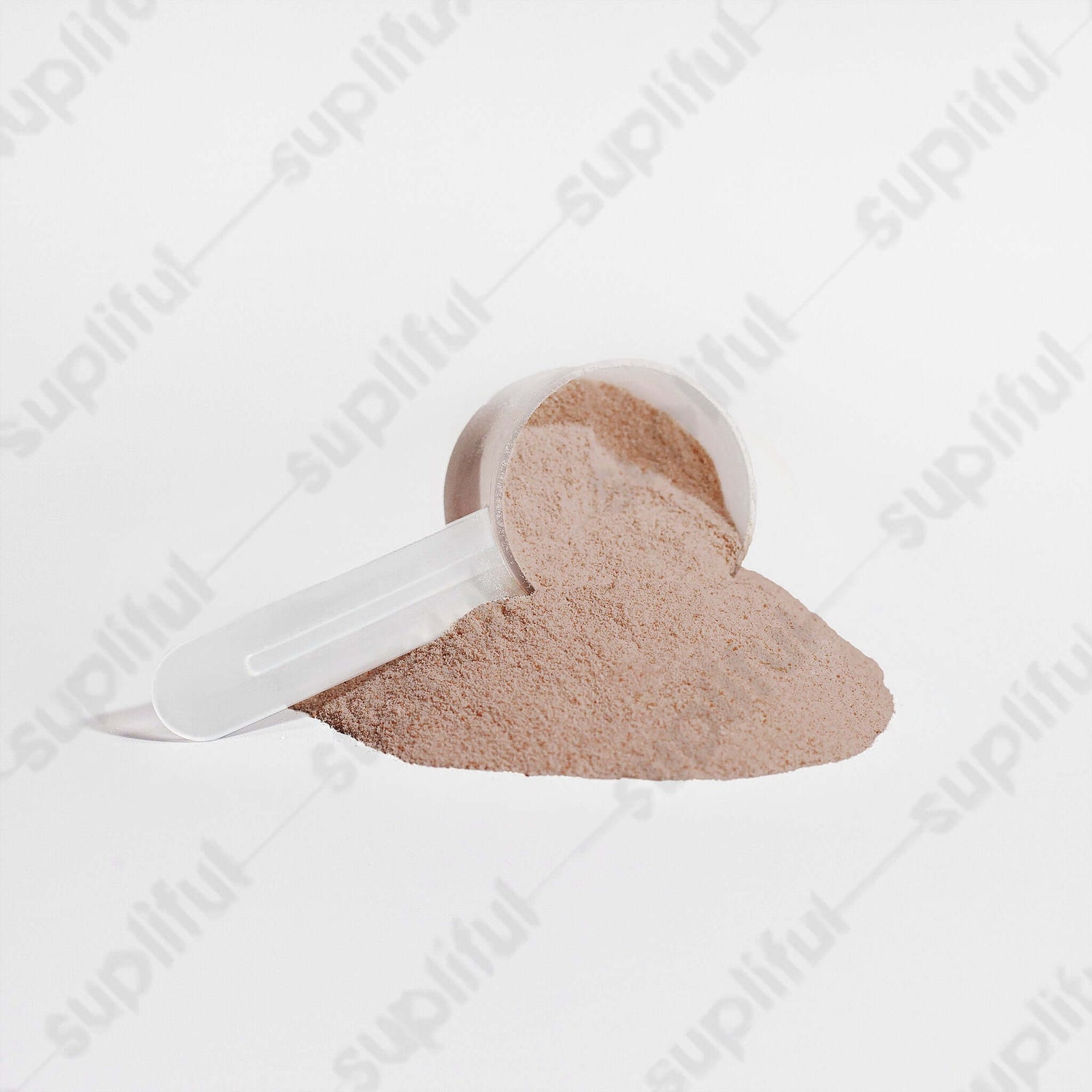 plant base protein chocolate flavor